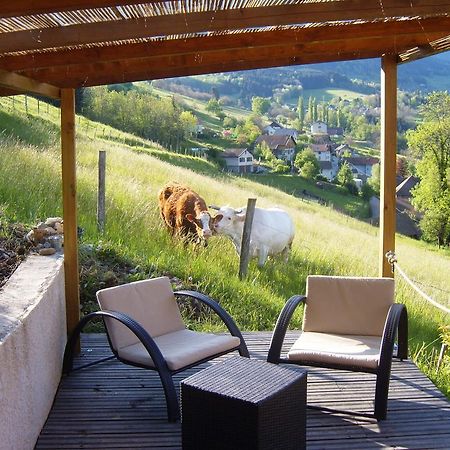 Gite Au Coeur Du Chalet En Belledonne Vers Prapoutel Les 7 Laux Sainte-Agnes  Phòng bức ảnh